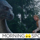A still from the 2006 movie adaptation of Eragon.